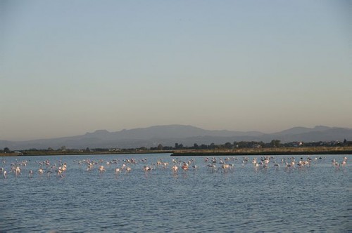640px-Saline_di_cervia