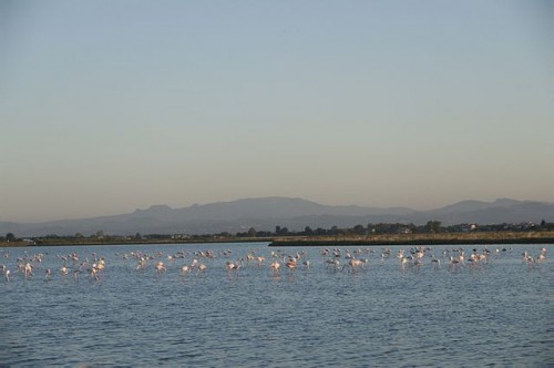 640px-Saline_di_cervia