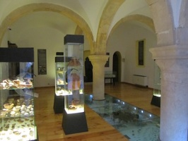 a foto of an exposition area at santo spirito