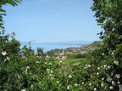 agropoli4gr