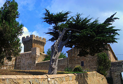 albero-e-castello