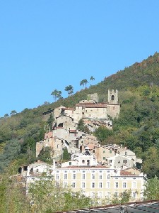 collodi1