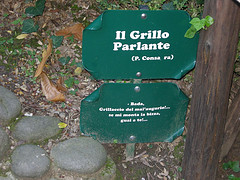 collodi5