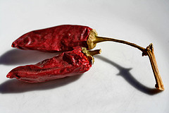 peperoncino