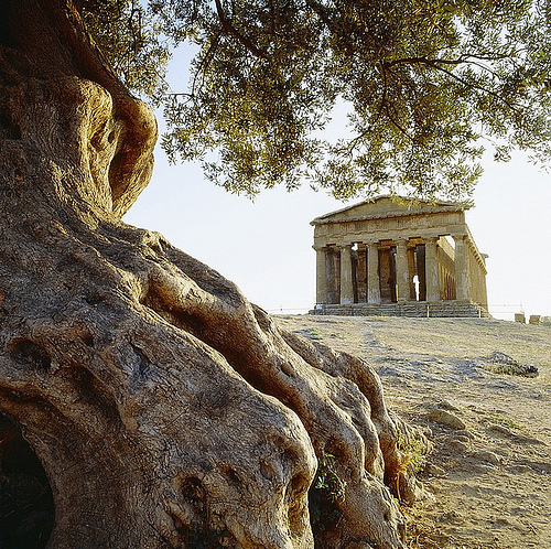 valley-of-temples